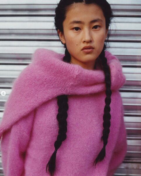 Asiatique profil cheveux dans col roulé