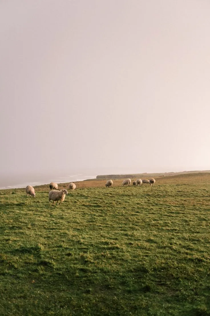 4.2 Paysage